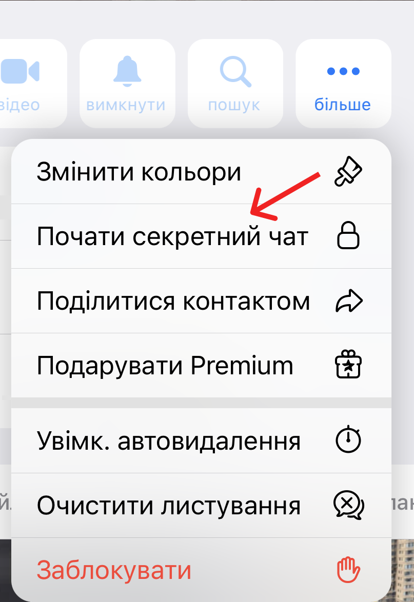 Секретний чат у Telegram – як виглядає інтерфейс